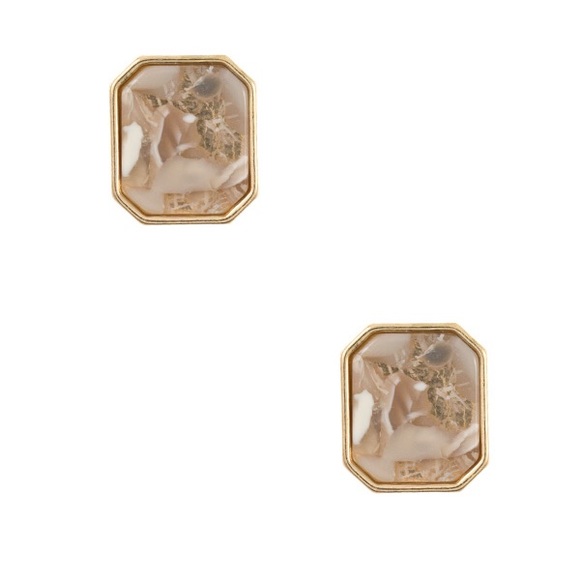 Tayzani Jewelry - Square Post Earrings Acetate Gold Nude Large Stud
